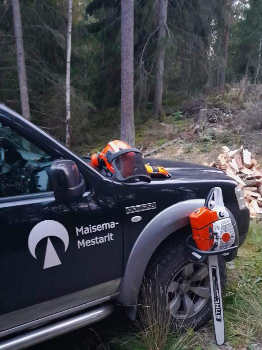 Puut voidaan halkoa klapeiksi kaadon yhteydessä 